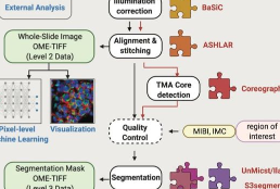 MCMICRO: a scalable, modular image-processing pipeline for multiplexed tissue imaging.